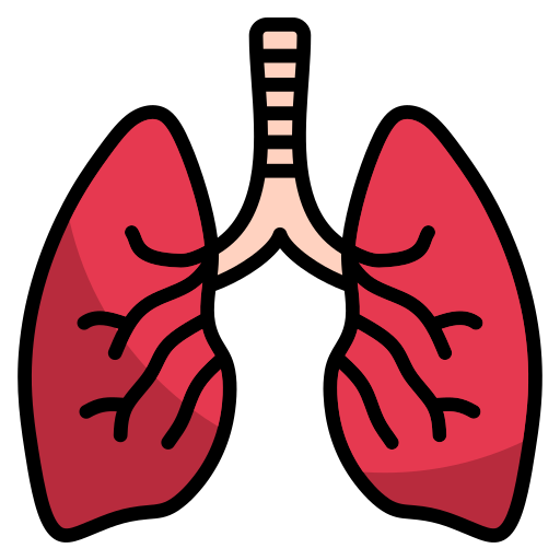 Respiratory & Urology